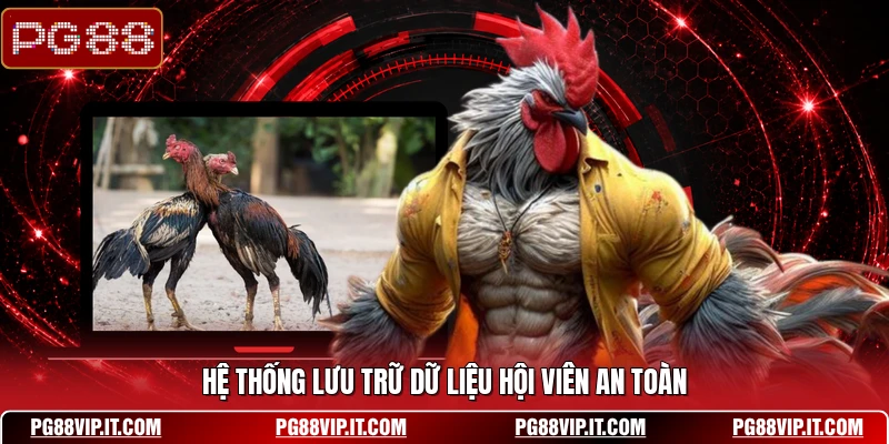 Hệ thống lưu trữ dữ liệu hội viên an toàn
