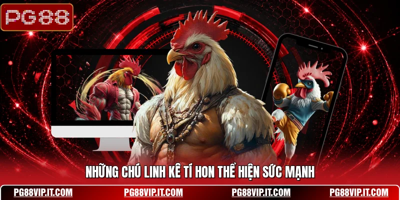 Những chú linh kê tí hon thể hiện sức mạnh