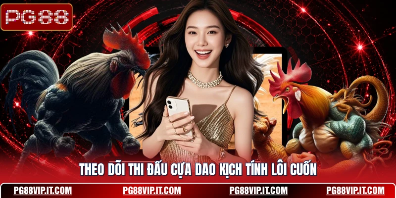Theo dõi thi đấu cựa dao kịch tính lôi cuốn